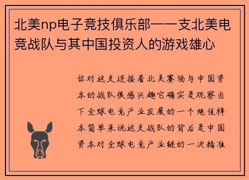 北美np电子竞技俱乐部—一支北美电竞战队与其中国投资人的游戏雄心